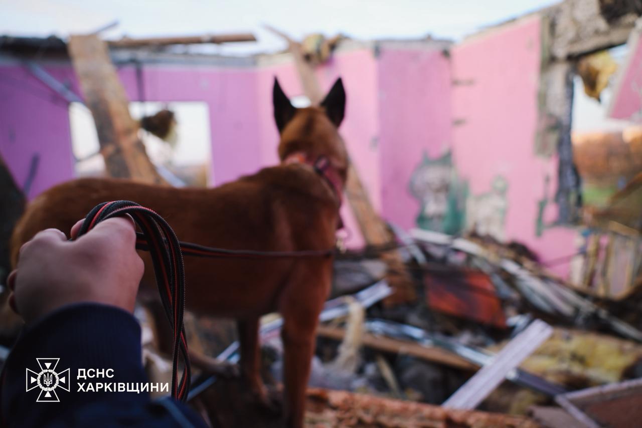 Наслідки атаки на Харківщині вночі 4 листопада